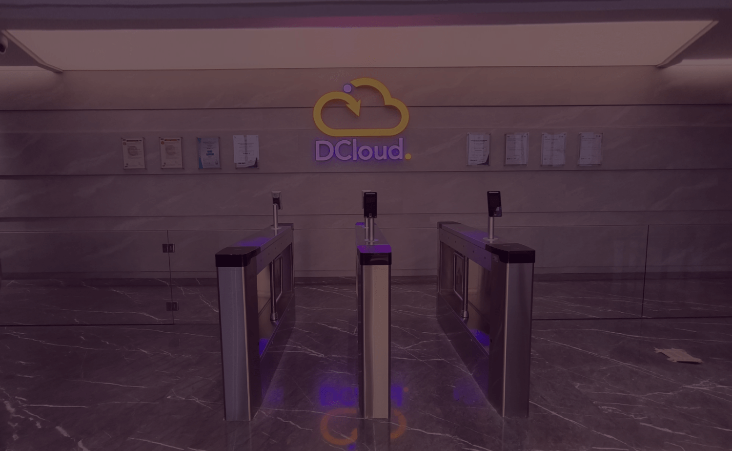 Let’s Bring Your vision into reality